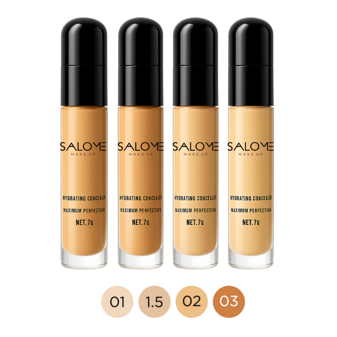 Corrector con blender SALOME