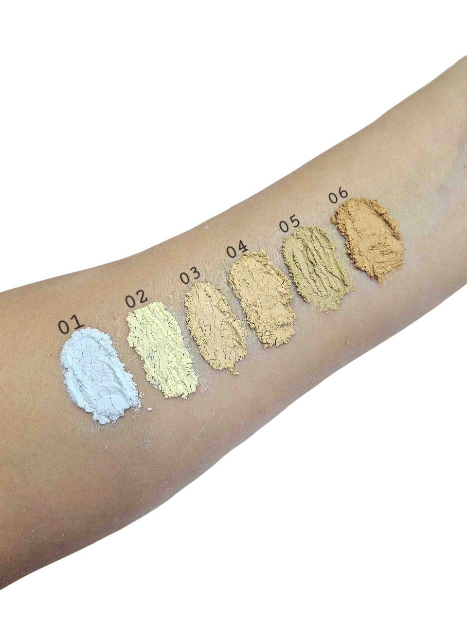 Polvo suelto premium SALOME