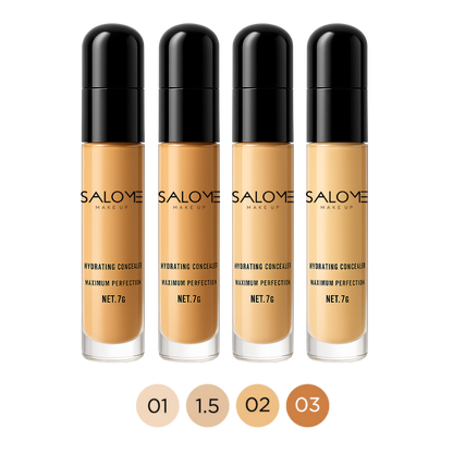Corrector con blender SALOME