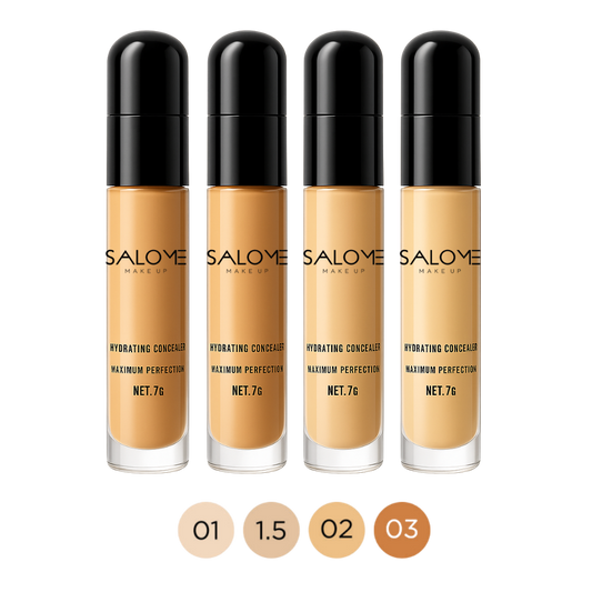 Corrector con blender SALOME